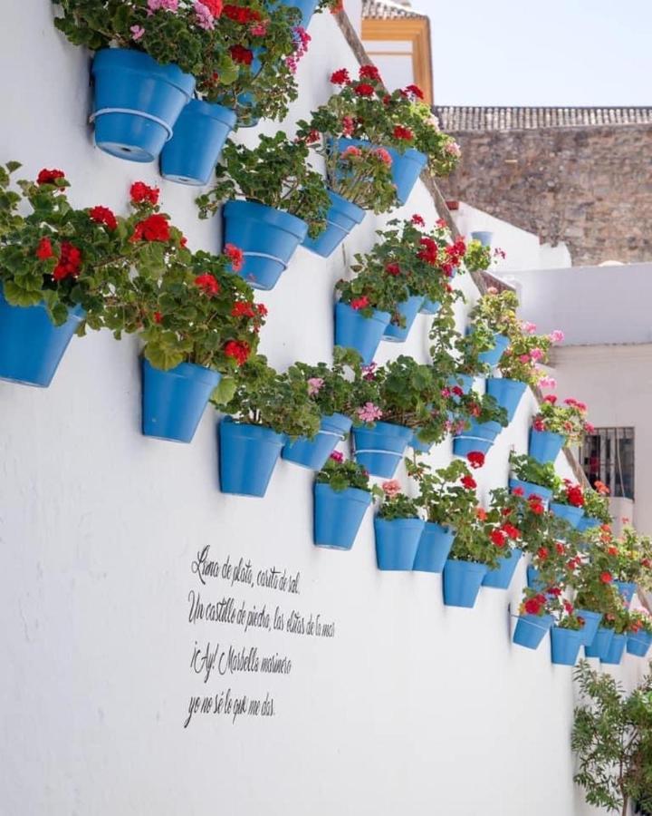 Amazing ,center Of Marbella, 338 Appartement Marbellac